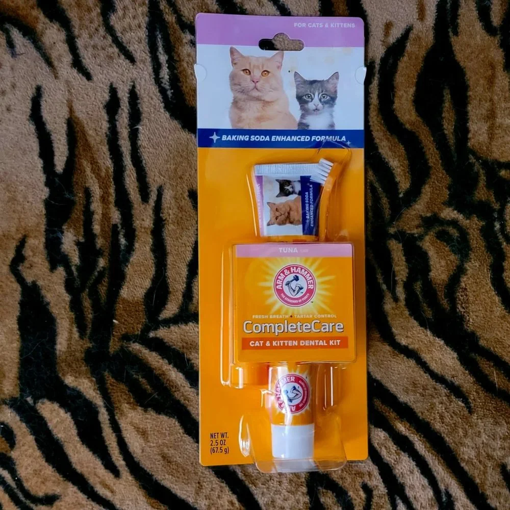 Cat Kitten Dental Kit w Toothbrush and paste.. New!